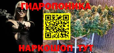 мдма Тверь