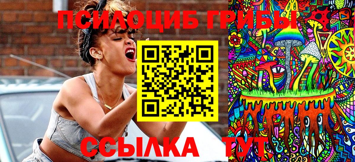 Псилоцибиновые грибы ЛСД Новороссийск