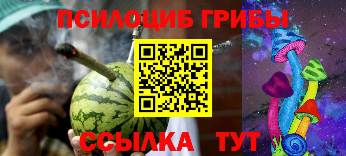 Новороссийск  Псилоцибиновые грибы MAGIC MUSHROOMS  Вход с VPN 